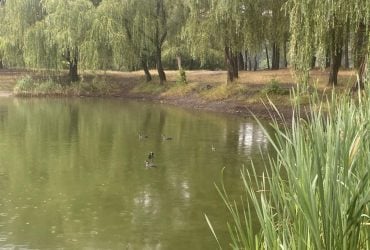 Синоптикиня повідомила, де на вихідних в Україні будуть дощі з грозами