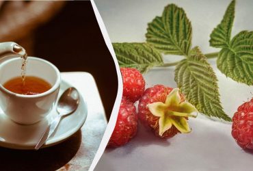 Для чого потрібно пити чай із листя малини: користь для здоров'я та способи заварювання