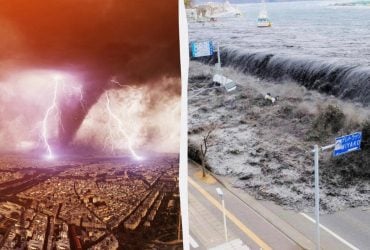 Моторошне передбачення нової Ванги знову збулося: у чому була суть її пророцтва