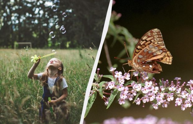 Одразу три свята відзначає Україна 2 липня 2025: кого привітати і що не можна робити