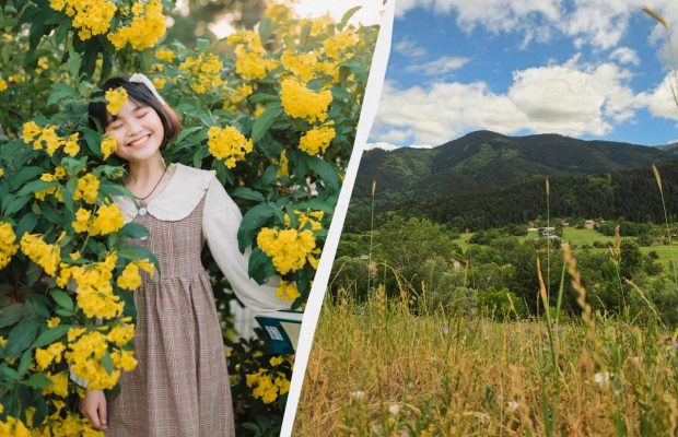 Кого потрібно привітати у свято 7 липня 2025: в українців є привід відзначити