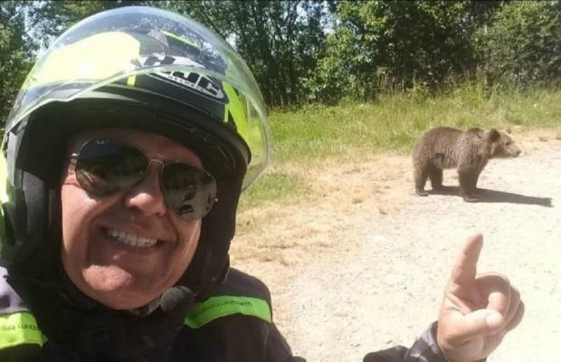 У Румунії на популярному гірському маршруті ведмідь роздер туриста після селфі з ним
