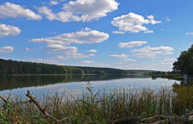 Сосновий ліс, піщаний пляж і мінімум людей: як дістатися до села Бобриця під Києвом