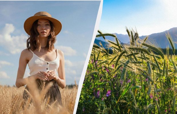 Сьогодні можна помолитися за військових: що треба знати про свято 5 серпня 2025