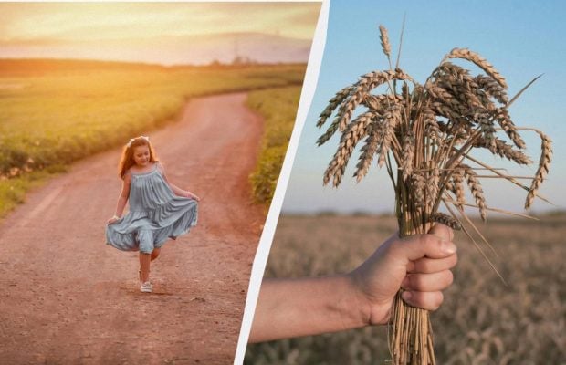 Вітають зв'язківців і балують котів: що за свято відзначають 8 серпня 2025