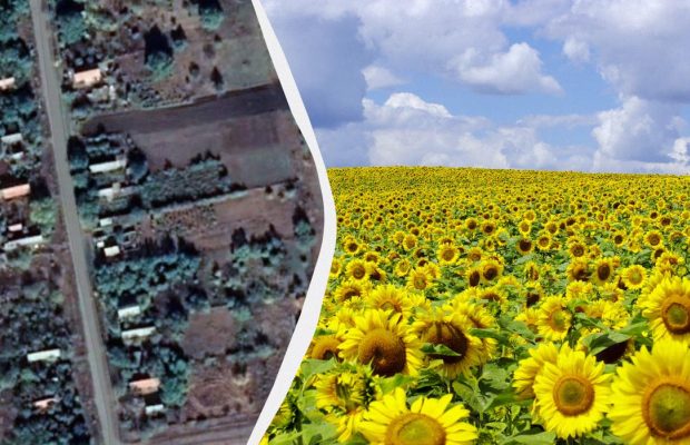 Менше кілометра до кордону з Молдовою: де розташоване село Олег і як дістатися