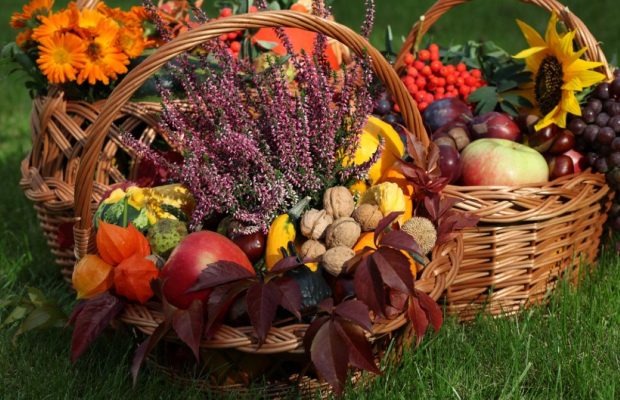 З Горіховим Спасом 2025: теплі привітання та яскраві листівки для близьких