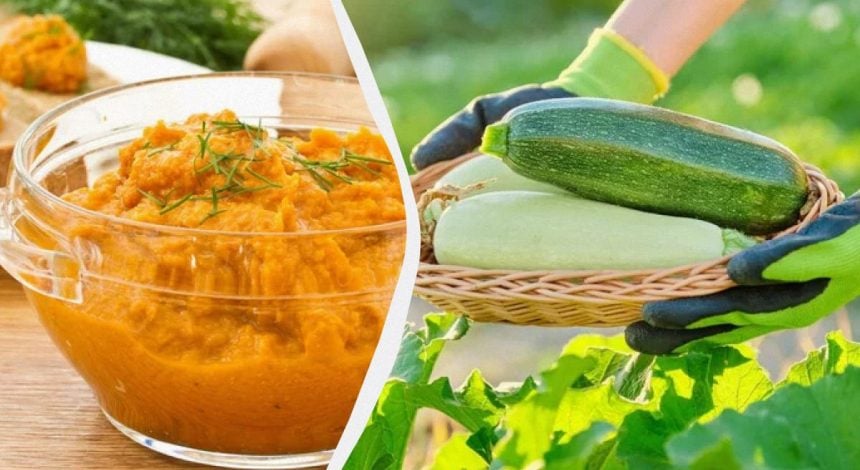 Кабачковая икра точно как в СССР: в магазине такую не купить