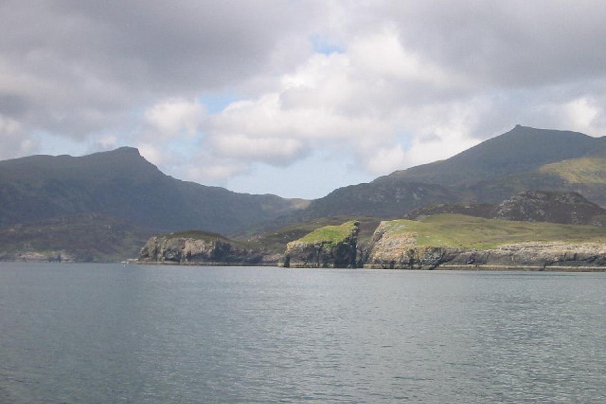 Depastrum cyathiforme выжил в одном из самых недоступных уголков Британии / фото wikipedia.org Depastrum cyathiforme выжил в одном из самых недоступных уголков Британии / фото wikipedia.org