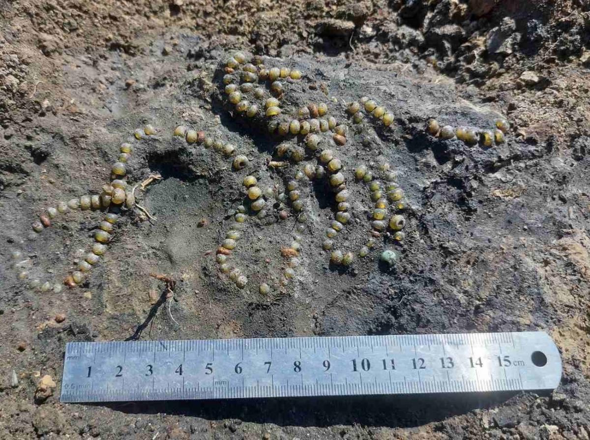 Найденное во Владимире стеклянное ожерелье княжеской эпохи / фото со страницы Виктора Баюка в фейсбуке