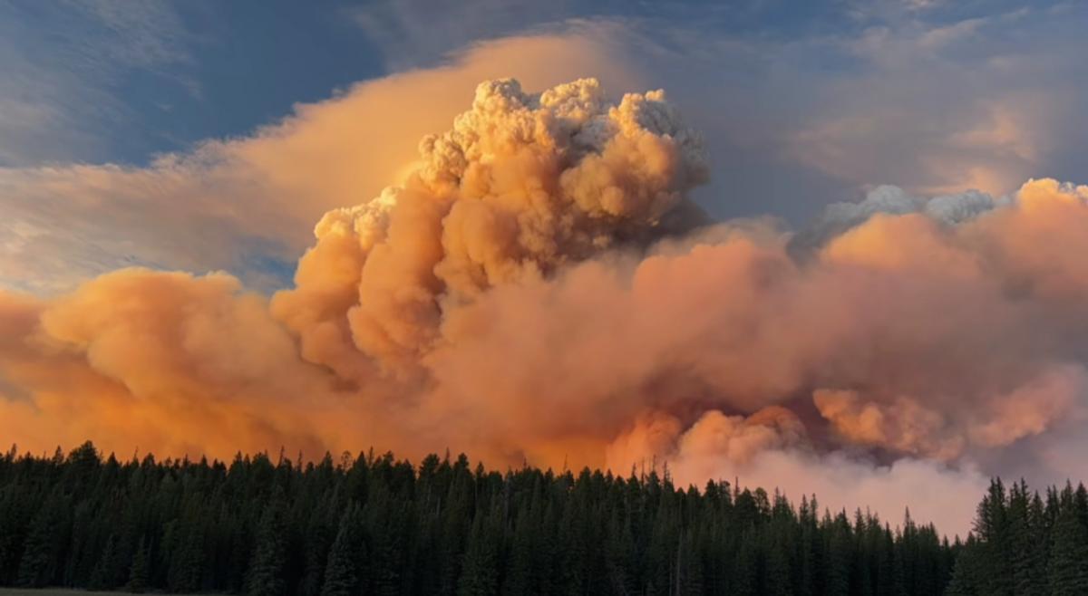 В США через лісові пожежі помітили "вогняні хмари" / Фото: скріншот з відео
