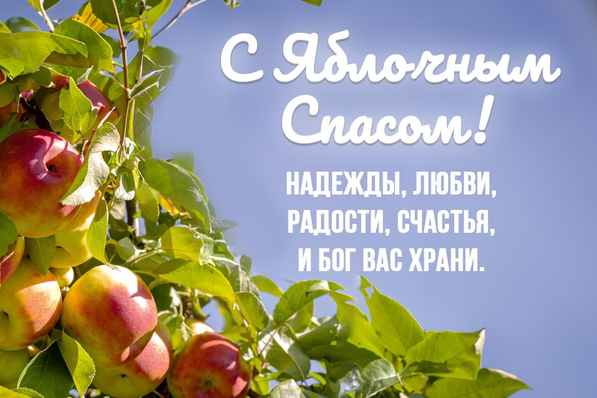 Сегодня Яблочный Спас / открытка УНИАН Сегодня Яблочный Спас / открытка УНИАН