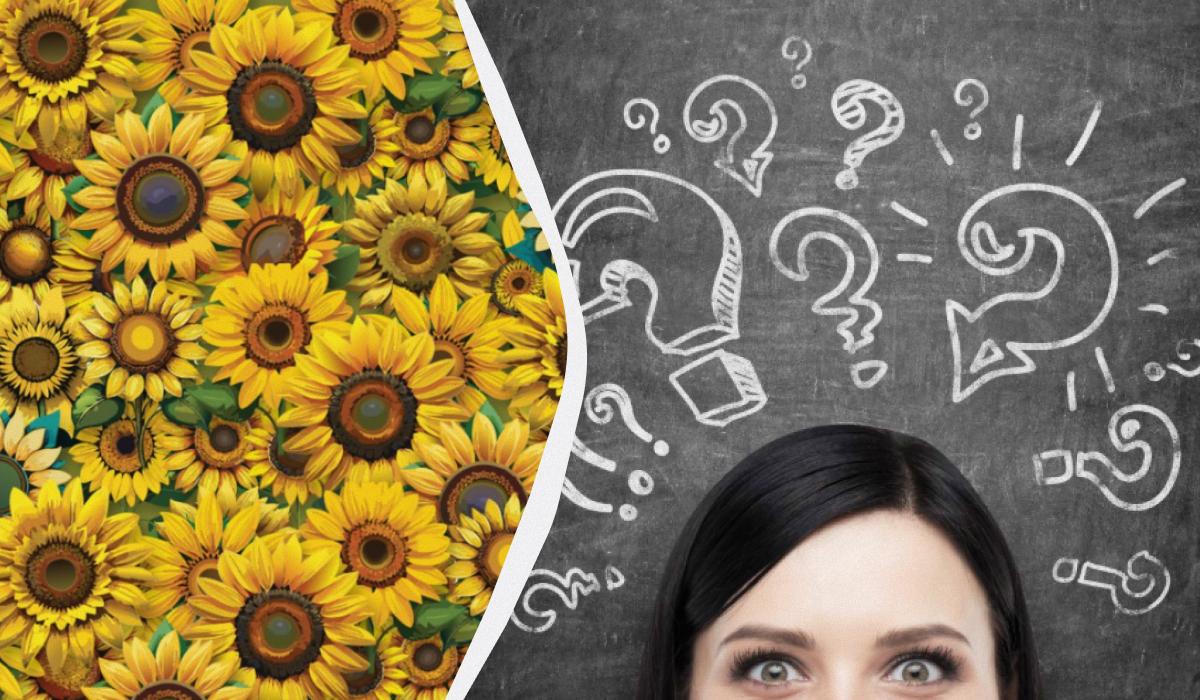 Перевірте гостроту свого зору! / Колаж УНІАН / фото УНІАН, ua.depositphotos.com Перевірте гостроту свого зору! / Колаж УНІАН / фото УНІАН, ua.depositphotos.com