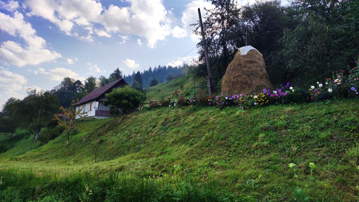 У які місця їздили та чого хотіли: що відомо про внутрішній туризм в Україні у 2025 році У які місця їздили та чого хотіли: що відомо про внутрішній туризм в Україні у 2025 році