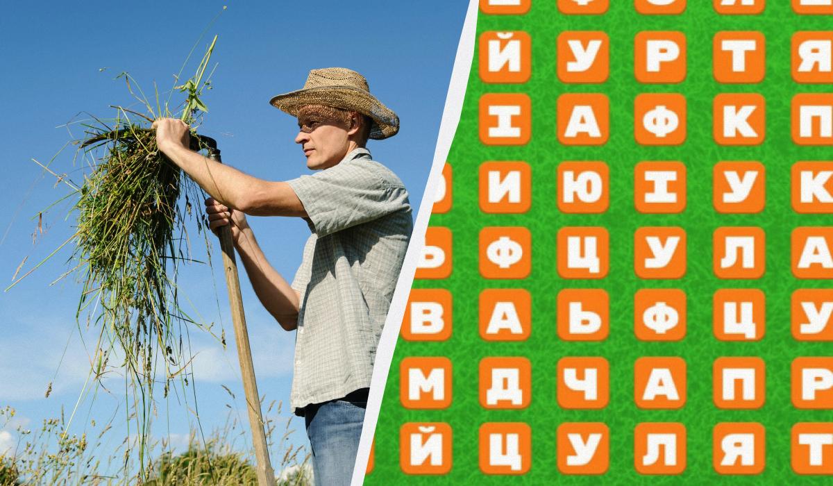 Удастся ли вам отыскать слово "коса" / коллаж УНИАН, фото ua.depositphotos.com