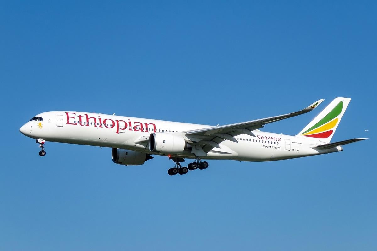 В Ethiopian Airlines заявили, що компанія сама потребує додаткових літаків / фото - wikimedia.org В Ethiopian Airlines заявили, що компанія сама потребує додаткових літаків / фото - wikimedia.org