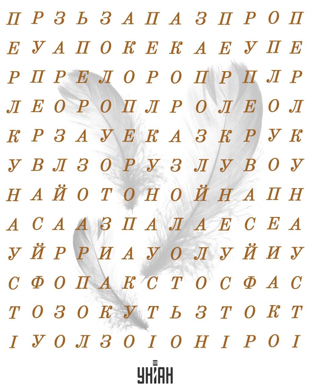 коллаж УНИАН коллаж УНИАН