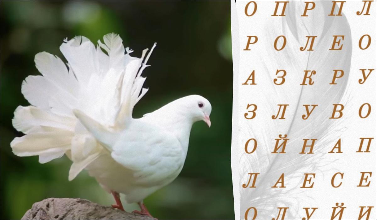 Попробуйте найти слово "перо" за считанные секунды / коллаж УНИАН, кадр из видео Попробуйте найти слово "перо" за считанные секунды / коллаж УНИАН, кадр из видео