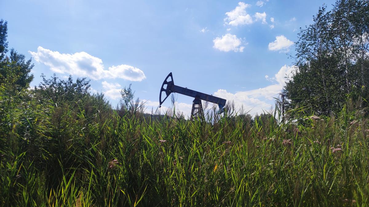 / фото Марина Григоренко / фото Марина Григоренко