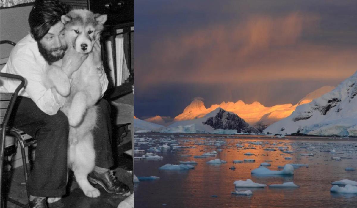В Антарктиде нашли останки британского ученого / коллаж УНИАН, фото ua.depositphotos.com, bas.ac.uk