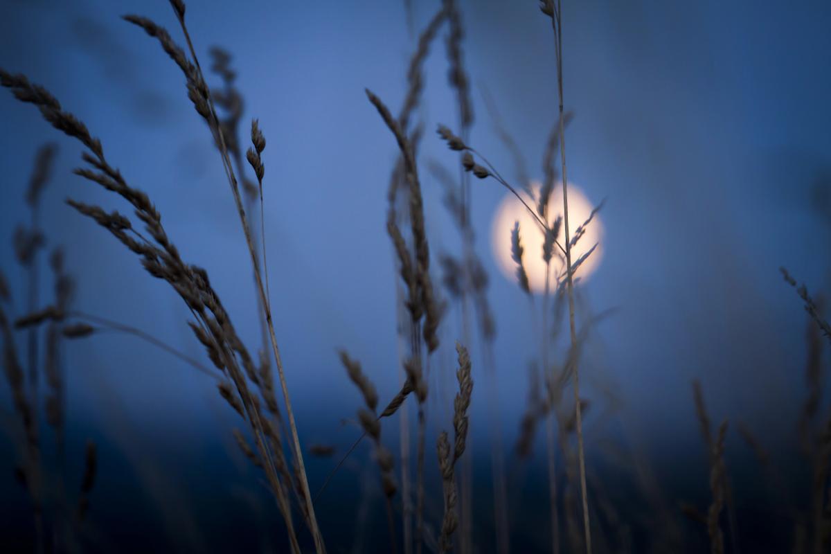 Що обіцяє Місяць у серпні 2025 - астропрогноз / ua.depositphotos.com Що обіцяє Місяць у серпні 2025 - астропрогноз / ua.depositphotos.com