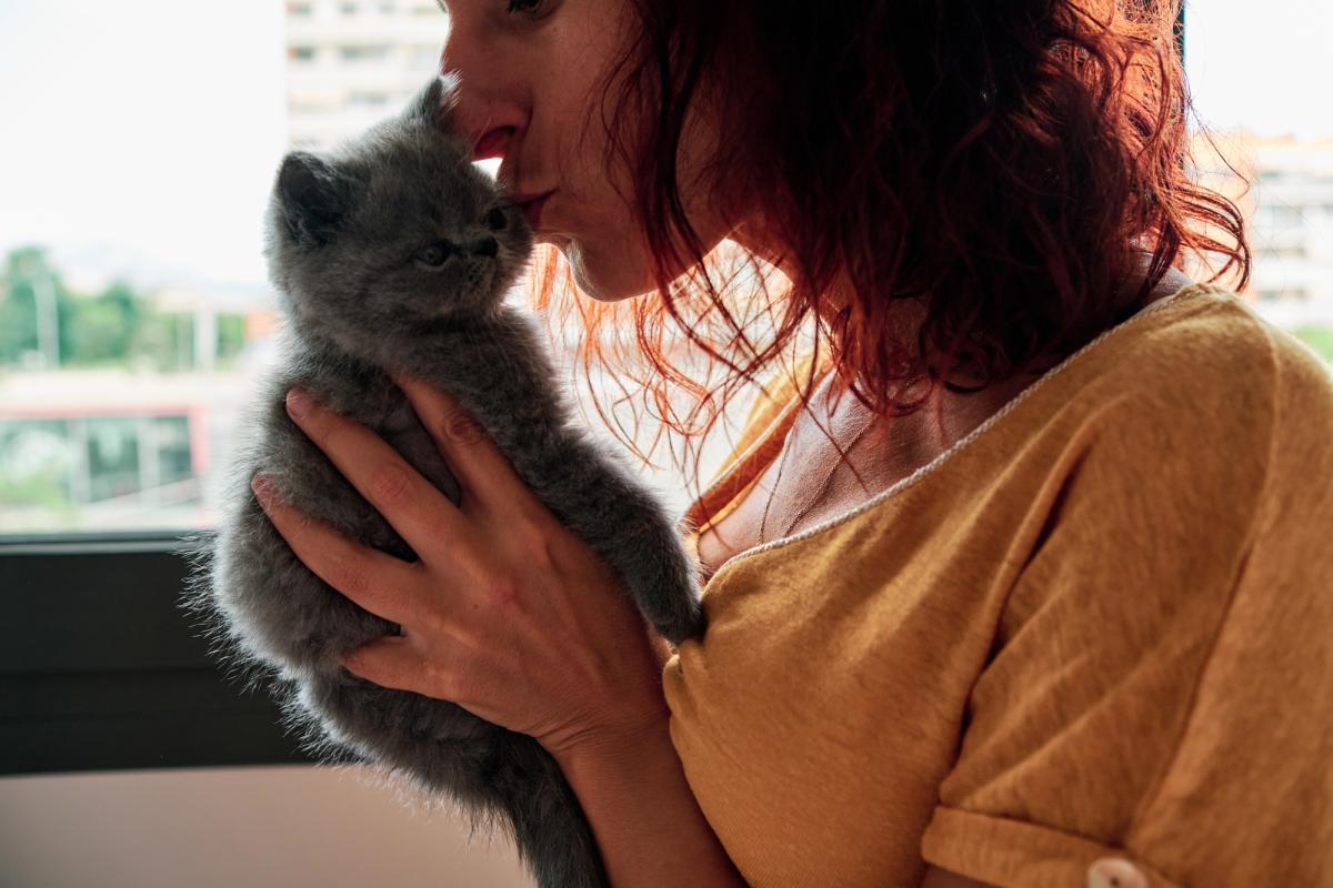 Любят ли кошки своих хозяев так же, как собаки: вот что выяснила наука Любят ли кошки своих хозяев так же, как собаки: вот что выяснила наука