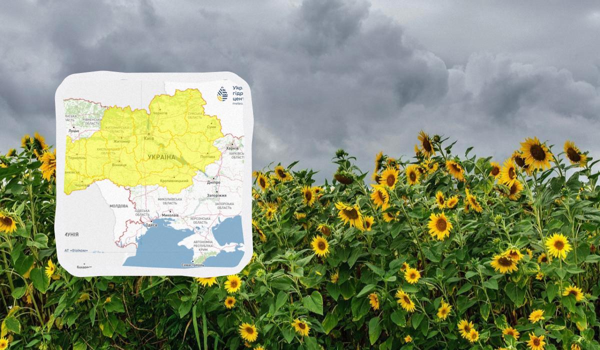 17 серпня погоад у низці областей України зіпсується / колаж УНІАН, фото Pixabay, Укргідрометцентр 17 серпня погоад у низці областей України зіпсується / колаж УНІАН, фото Pixabay, Укргідрометцентр