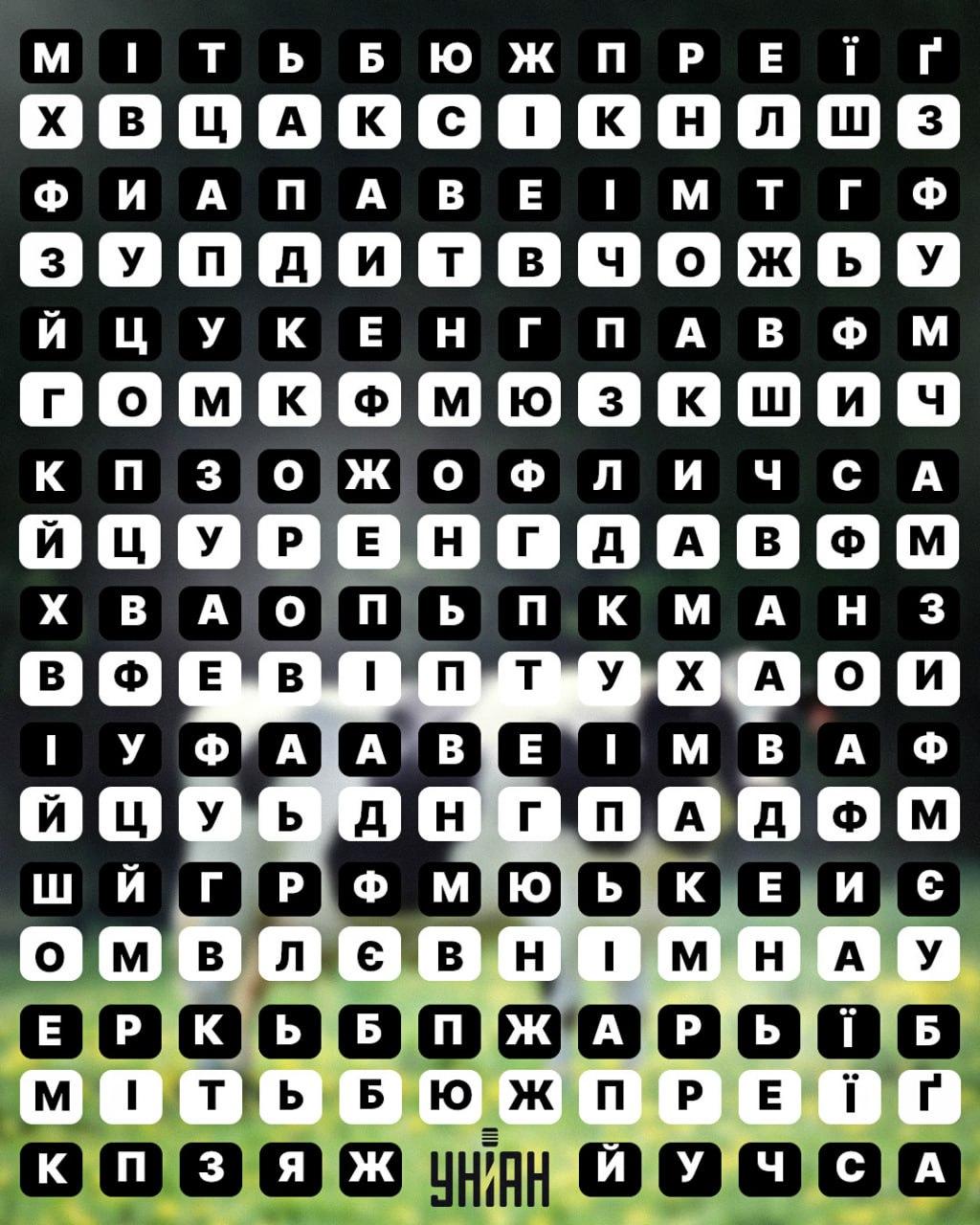 Тут заховане слово "корова" / Фото УНІАН Тут заховане слово "корова" / Фото УНІАН