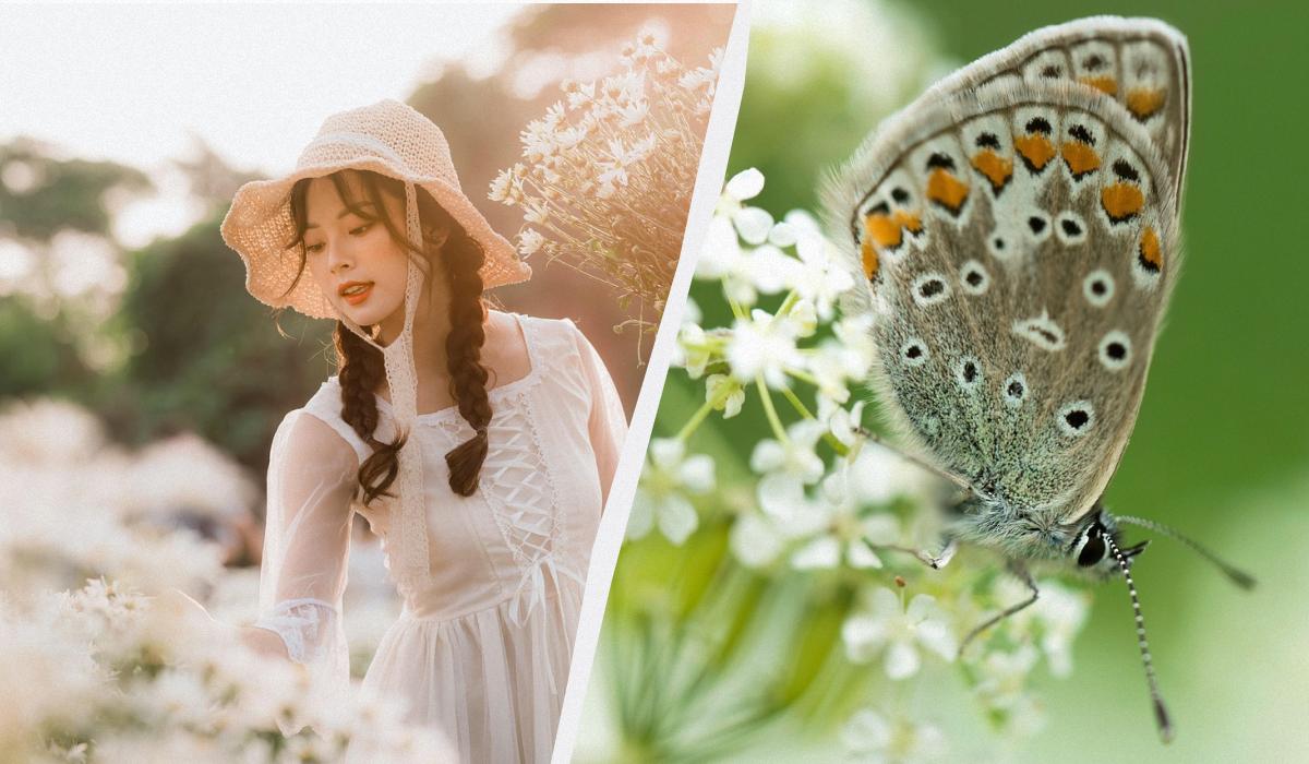 какой сегодня праздник какой сегодня праздник