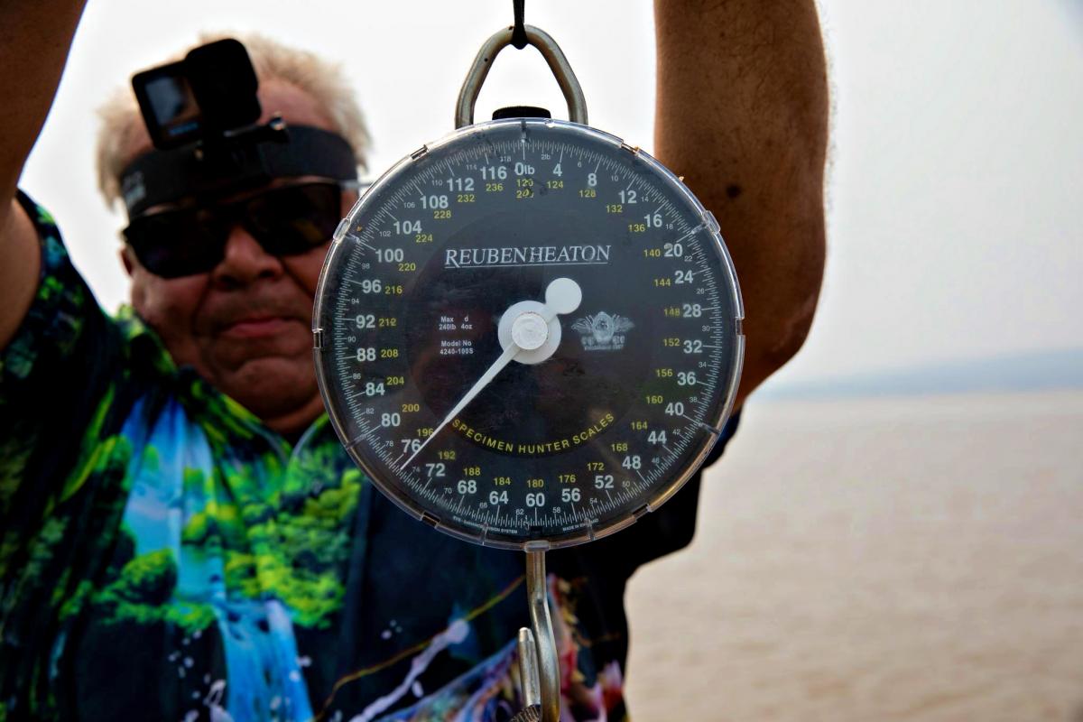 Вага риби / фото Boroma fishing&Mbenga Congo Вага риби / фото Boroma fishing&Mbenga Congo