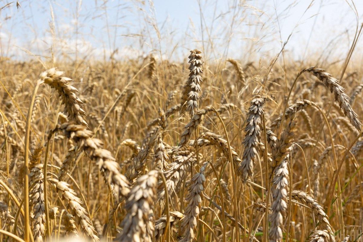 какой сегодня праздник