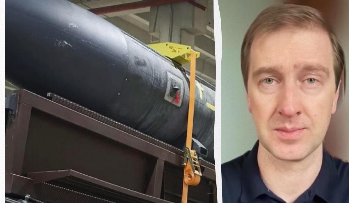 Експерт розповів про ракети Фламінго / колаж УНІАН, скріншоти