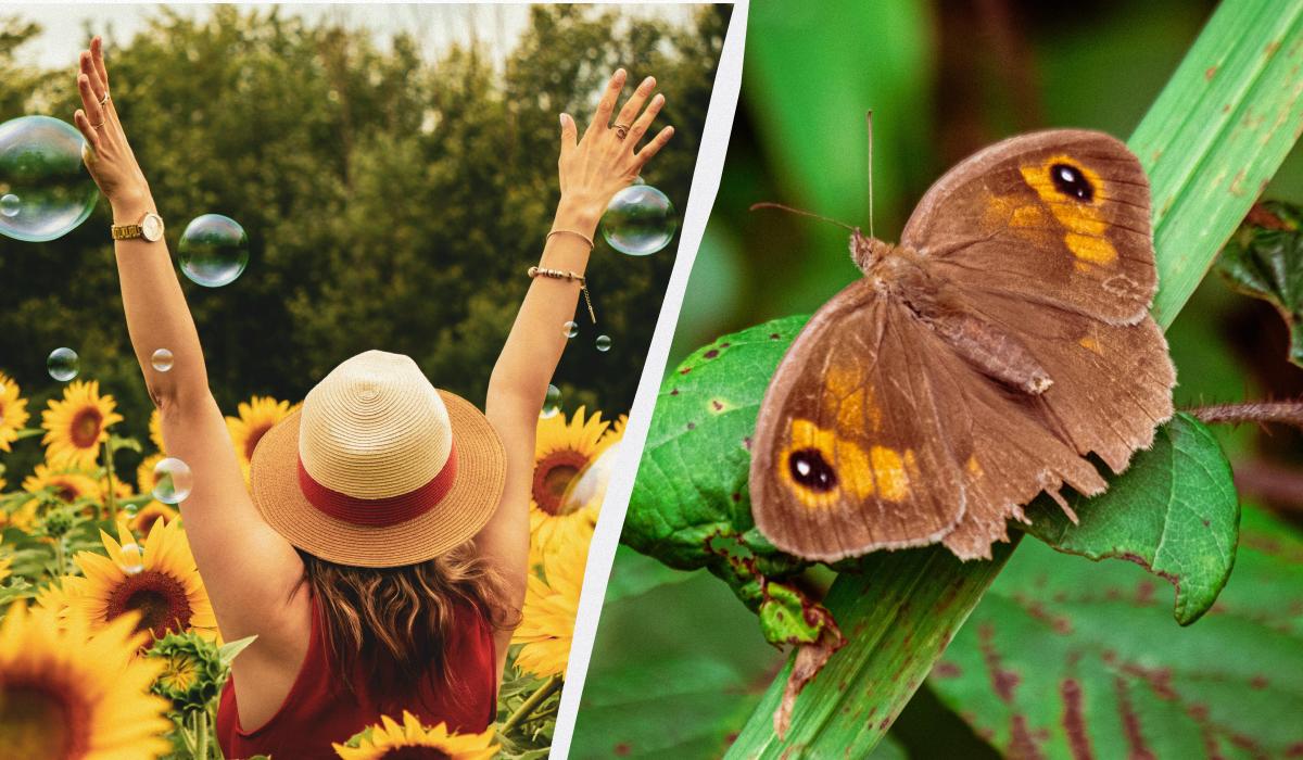 какой сегодня праздник