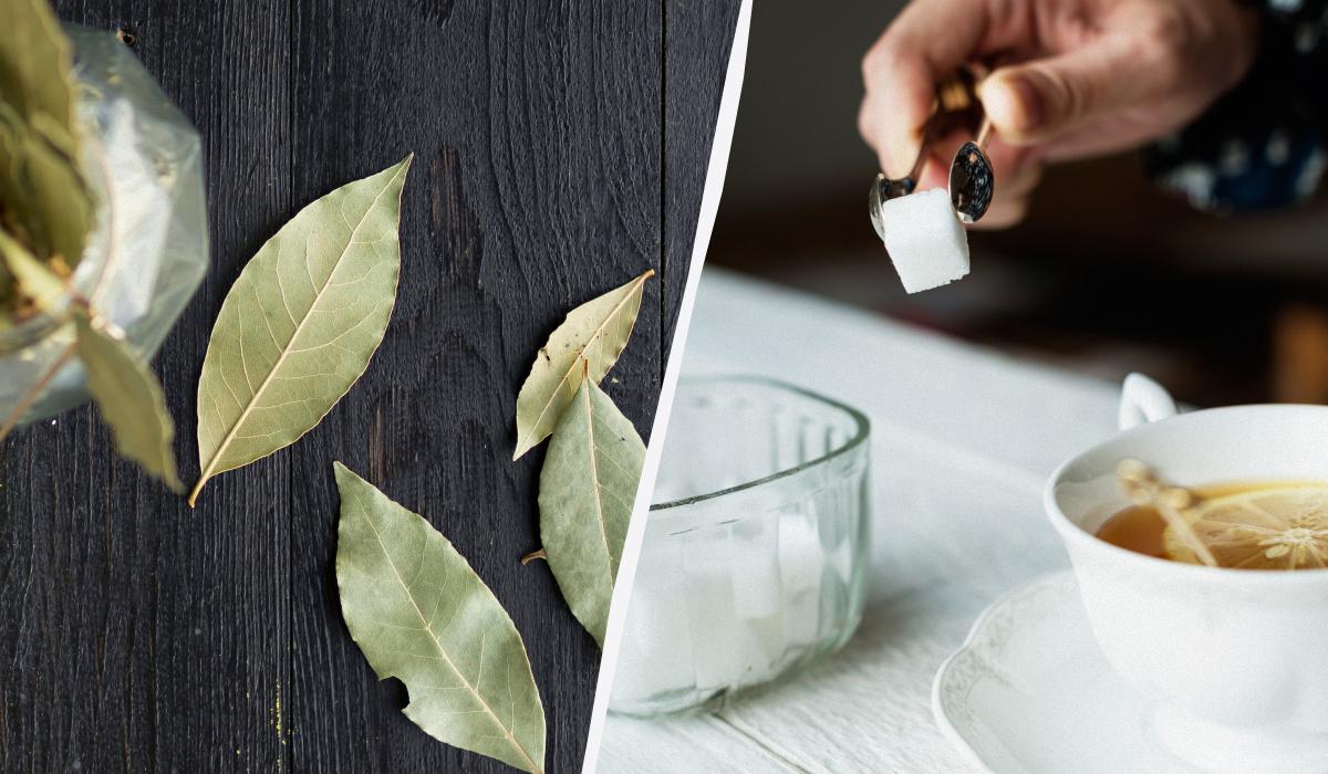 Какие насекомые ненавидят лавровый лист