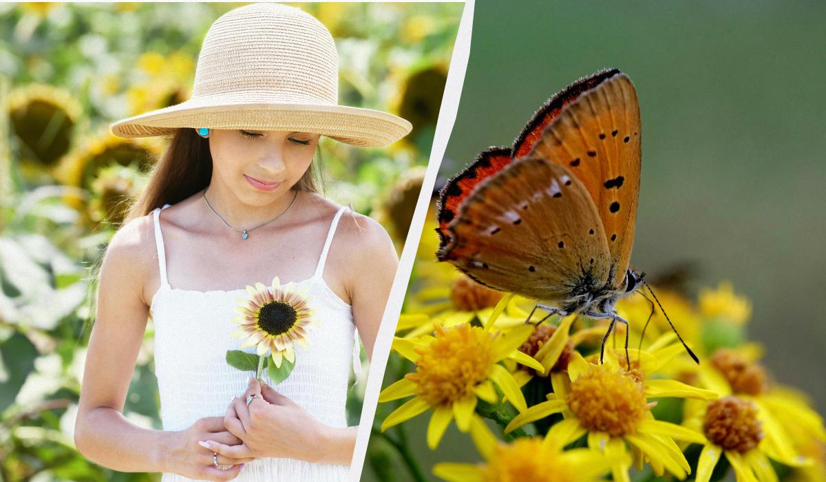 какой сегодня праздник какой сегодня праздник