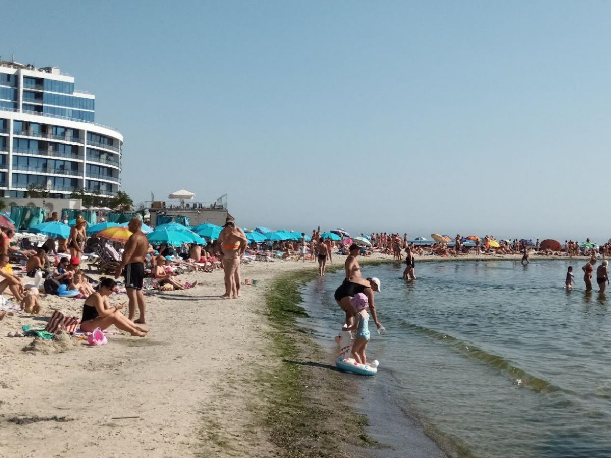 / фото Лариса Козова / фото Лариса Козова