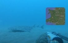 Одна из самых редких акул в мире попала на видео: исследователи поражены