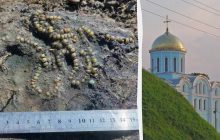 На Волині знайшли унікальне намисто, якому близько 800 років (фото)