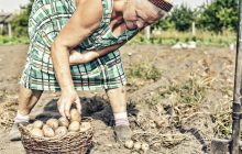 Скільки платитимуть за 37 років стажу: пенсії з 1 серпня