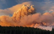Лесные пожары в США вызвали "огненные облака": в чем их опасность