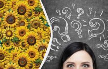 У морі соняшників сховали кросівок: треба знайти його за 9 секунд у складній головоломці