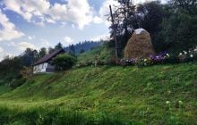 В какие места ездили и чего хотели: что известно о внутреннем туризме в Украине в 2025 году