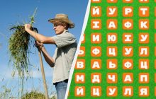 Тільки генії знайдуть слово "коса" за 8 секунд: дуже складна головоломка