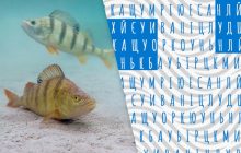 Вирусная оптическая иллюзия: только гении найдут слова "рак" и "окунь" за 16 секунд