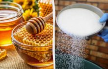 Деякі українські продукти більше не поїдуть до ЄС: дозволений обсяг експорту вичерпано