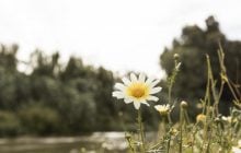 Наприкінці тижня Україну розігріє до +32° (карта)
