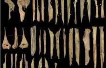 З великою родиною в Іспанії понад 5600 років тому сталася моторошна подія, - дослідження