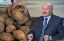 В бывшей стране СССР будут наказывать за торговлю картофелем, и это не Беларусь