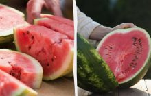 Як правильно зберігати кавун: ці поради дадуть змогу зберегти його на тривалий термін