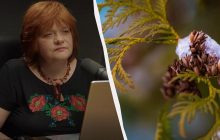 Весна будет уже в январе: климатолог рассказала, как изменится погода в Украине